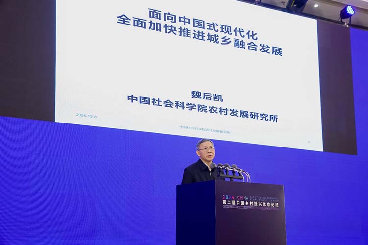 图片12.jpg